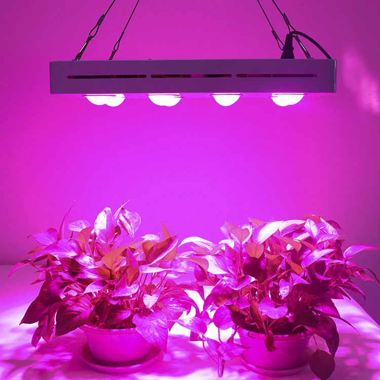 Factory Supply New 8 Bulb Full Spectrum 400W Indoor Plant Grow LED Light