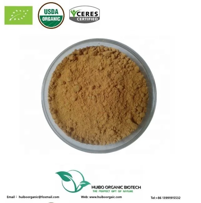Echinacea purpurea raw herb / powder / echinacea extract polyphenol , choric acid