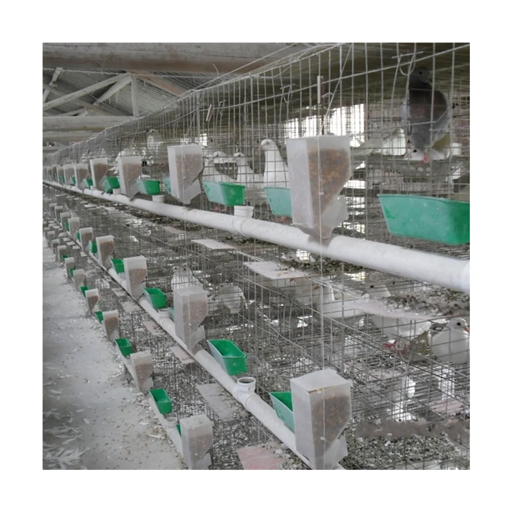 Корзина для голубей для тренировок, транспортная клетка