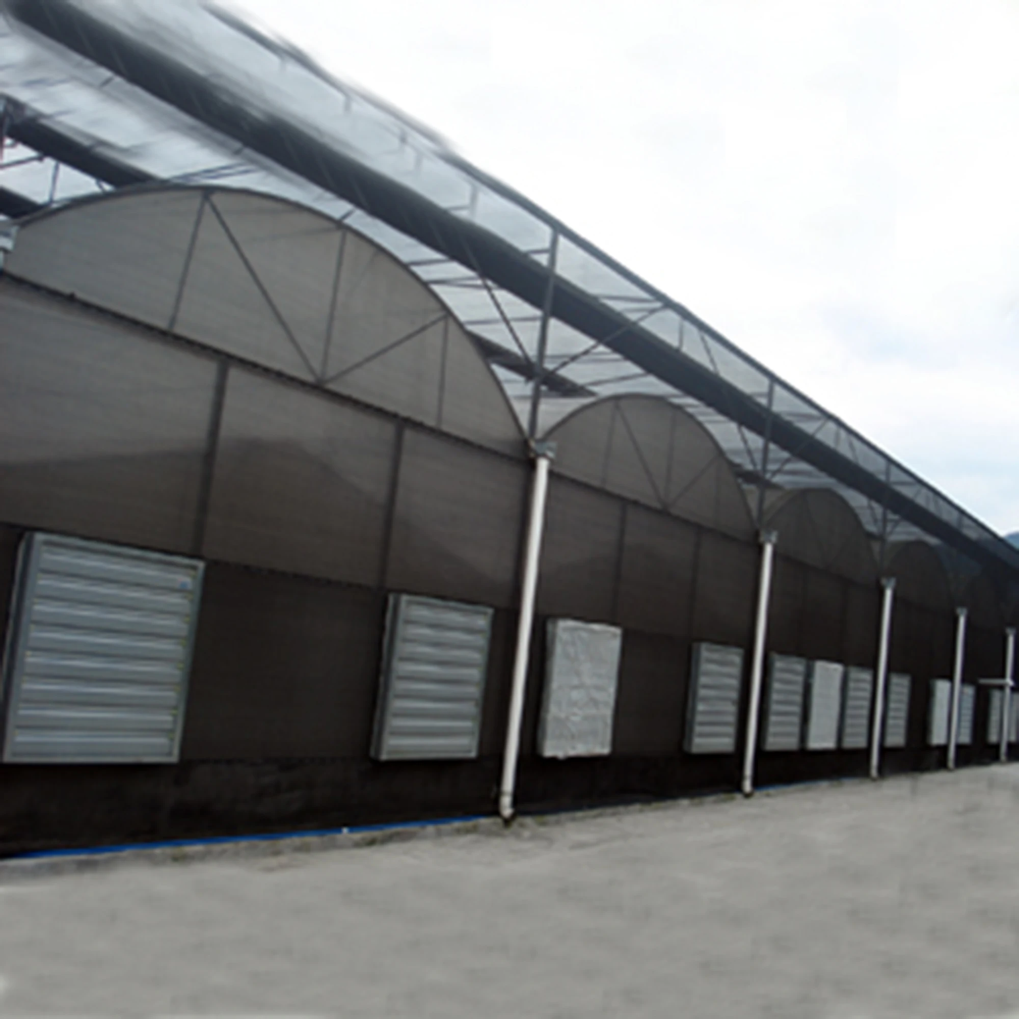 Парник полиэтиленовой пленки Multi-span для рассады орхидеи фаленопсис