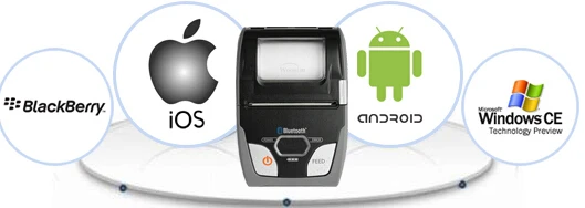 Портативный Bluetooth/Wi-Fi 58 мм POS мобильный принтер WSP-R240 для Ipad