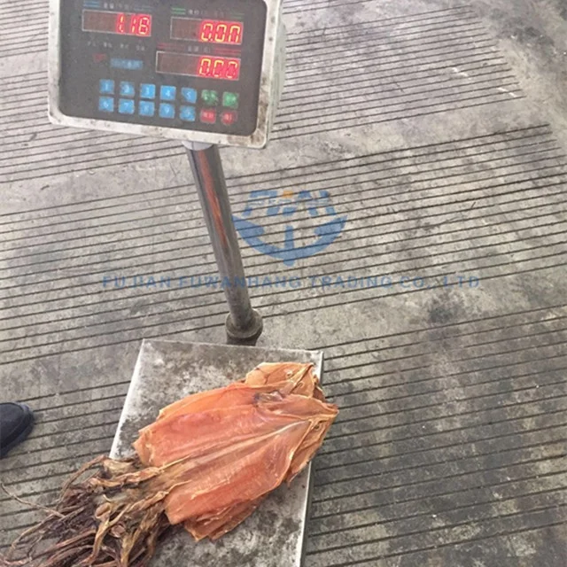 
Dried Equator Squid For Korea Market 