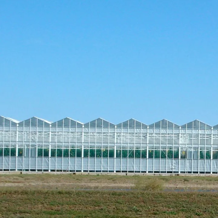 high light transmission greenhouse glass panels with 8mm polycarbonate sheet