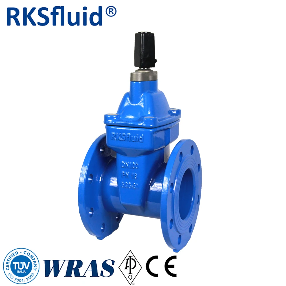 Sluice Valve Gate 2 4 6 8 12 Inch Spring Loaded Sluice Gate Valve Pn16