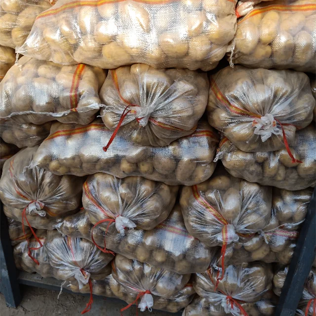 
wholesale new crop fresh holland potato (chinese product)2019 