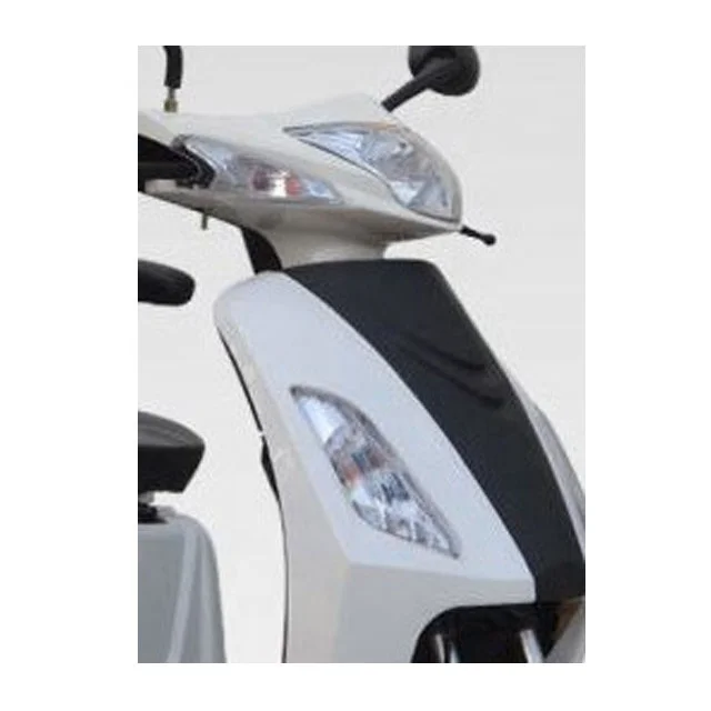 Popular New mini 1000W Brushless electric tricycle for Passenger