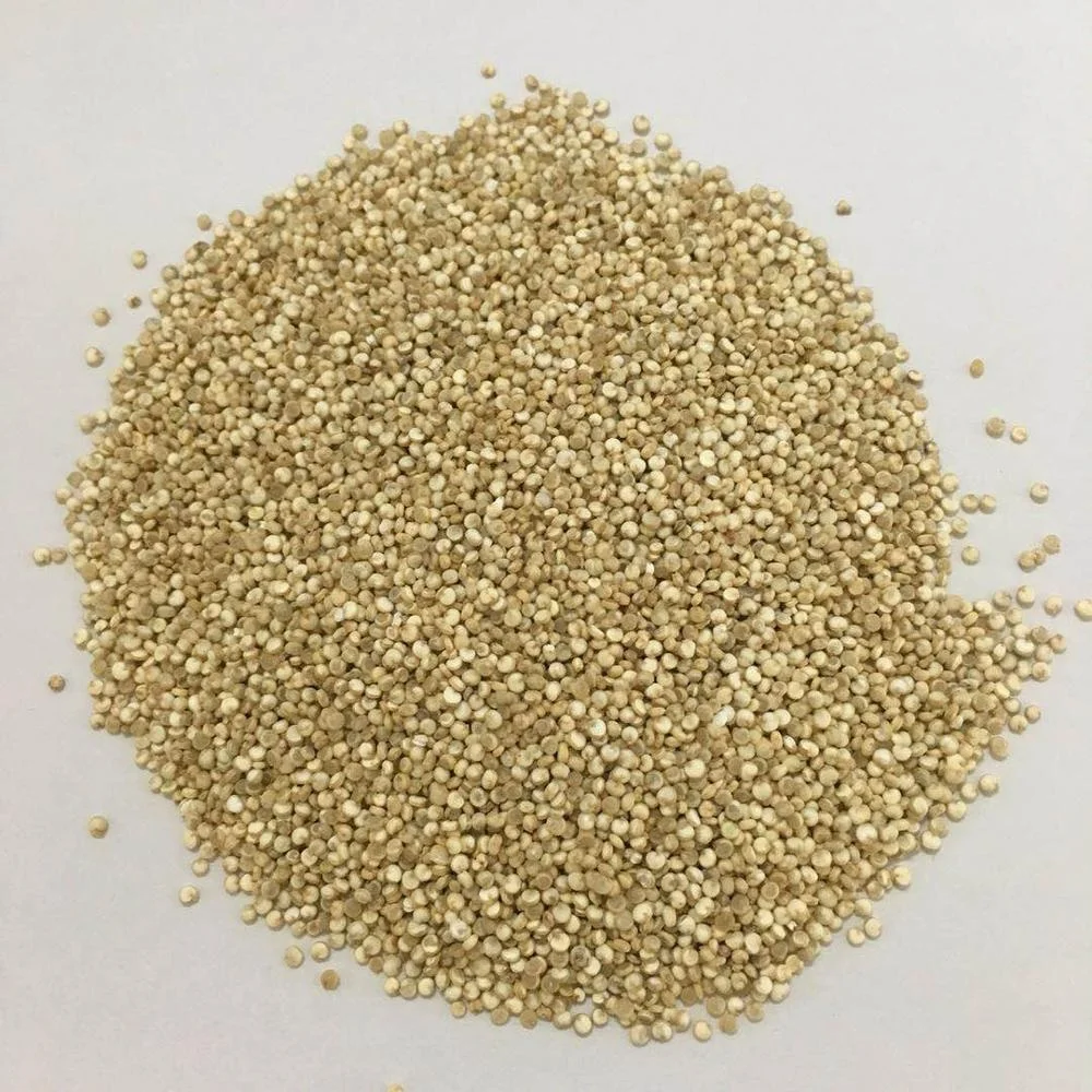 Yanzhifang Wholese Best Quinoa