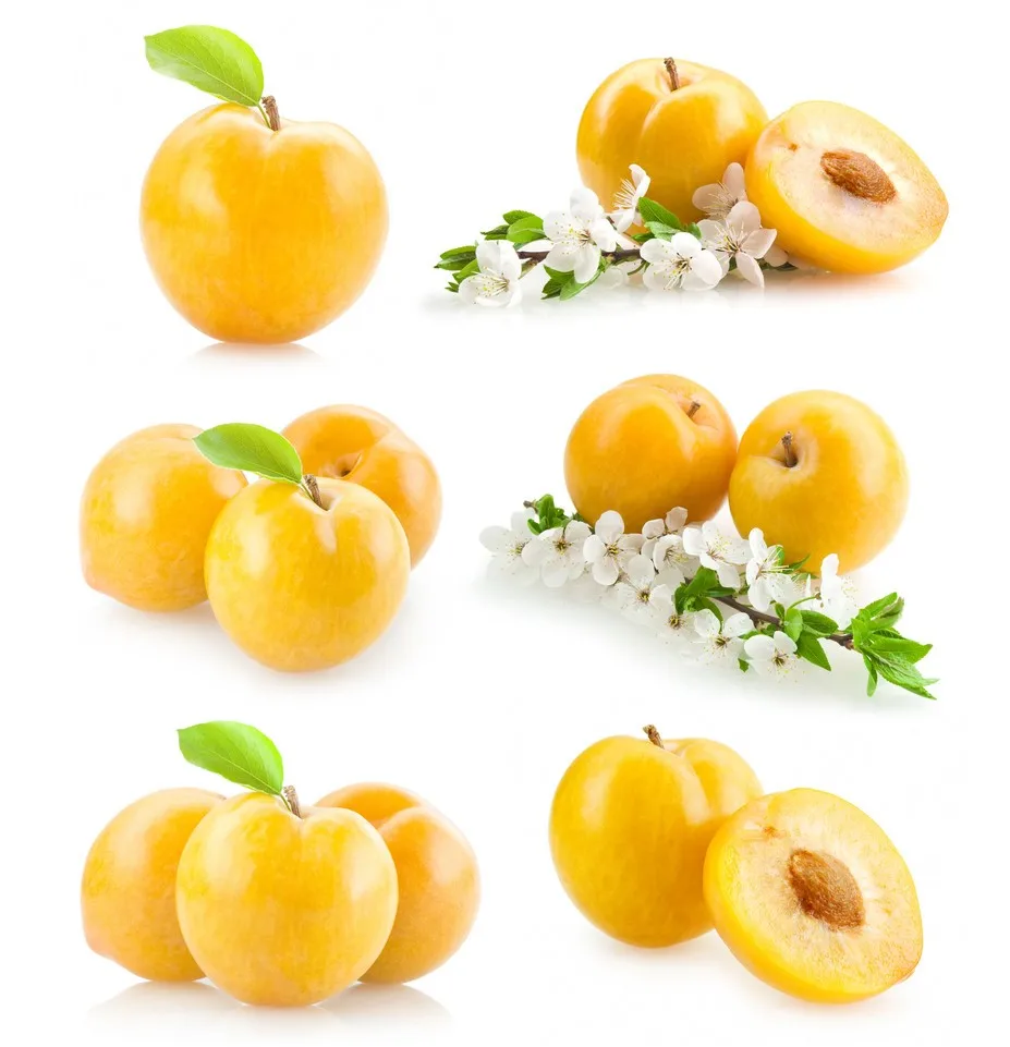 
Fruits processing machine for drying mango dehydrated apricot oven 