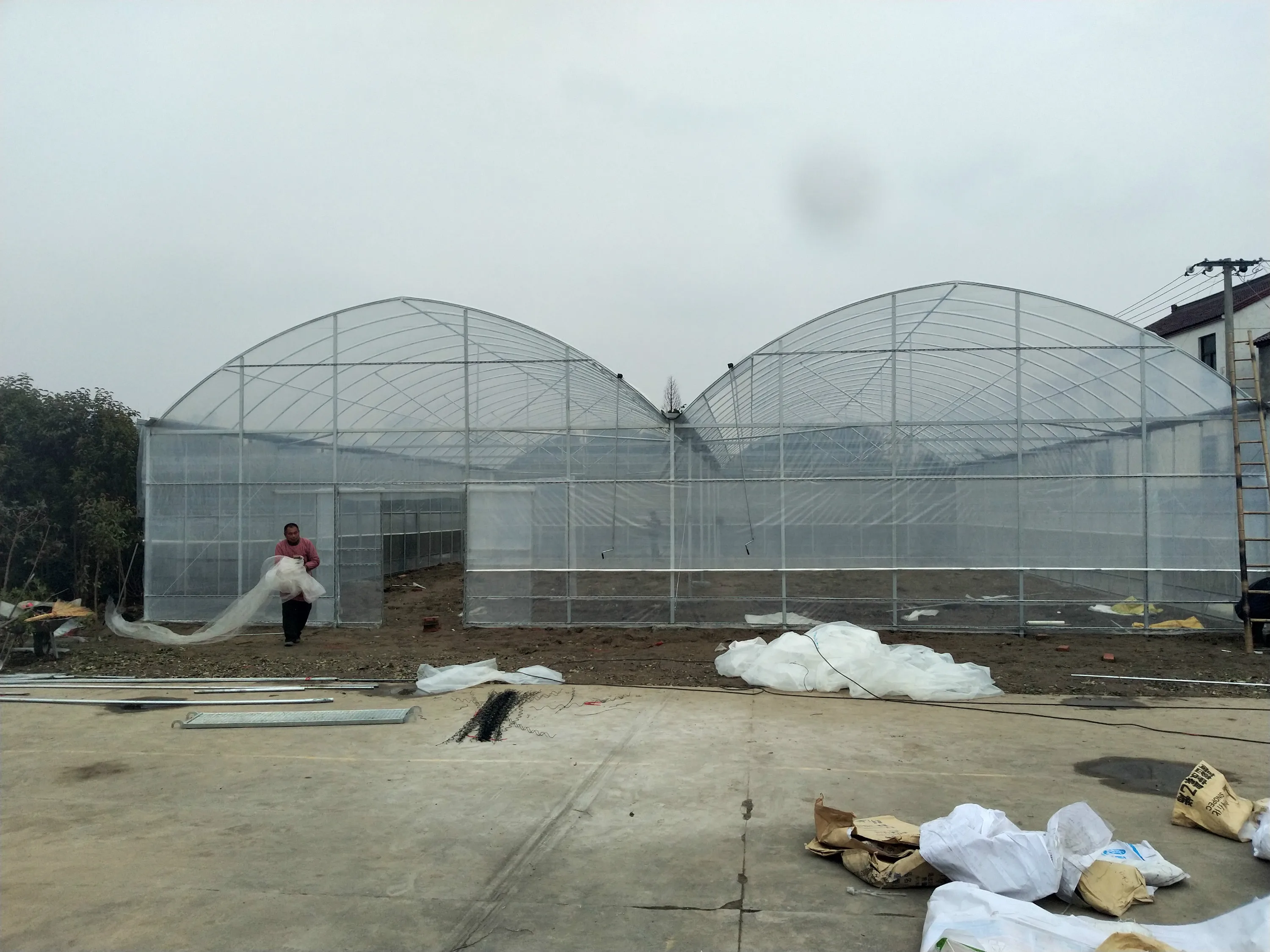 
multi span hydroponic systems greenhouse 