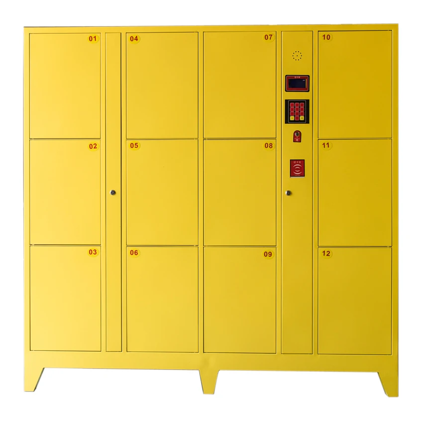 Multifunction electronic smart card storage pin code locker