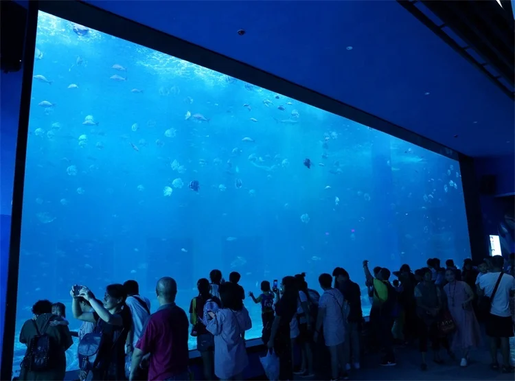 Best Selling!custom High Quality Curve Ultra Clear Glass Aquarium/fish Tank Customized Cast Acrylic Sheet Transparent 20-600mm