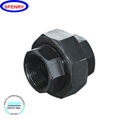 Sfenry ASME B16.11 3000 LB Carbon Steel A105 Female NPT Threaded Pipe Fittings Union