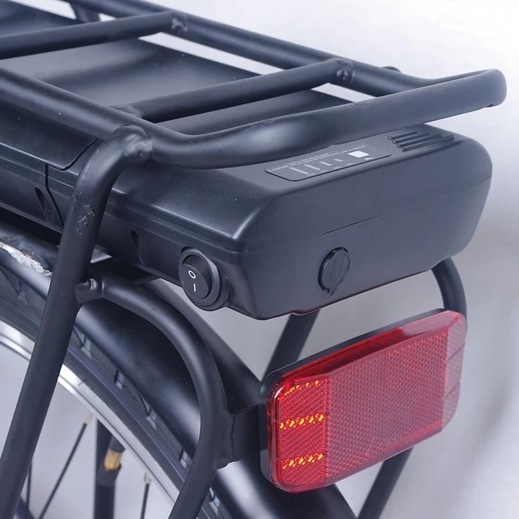 Chinese Cheapest City Style Electric Bikes for Italy and France