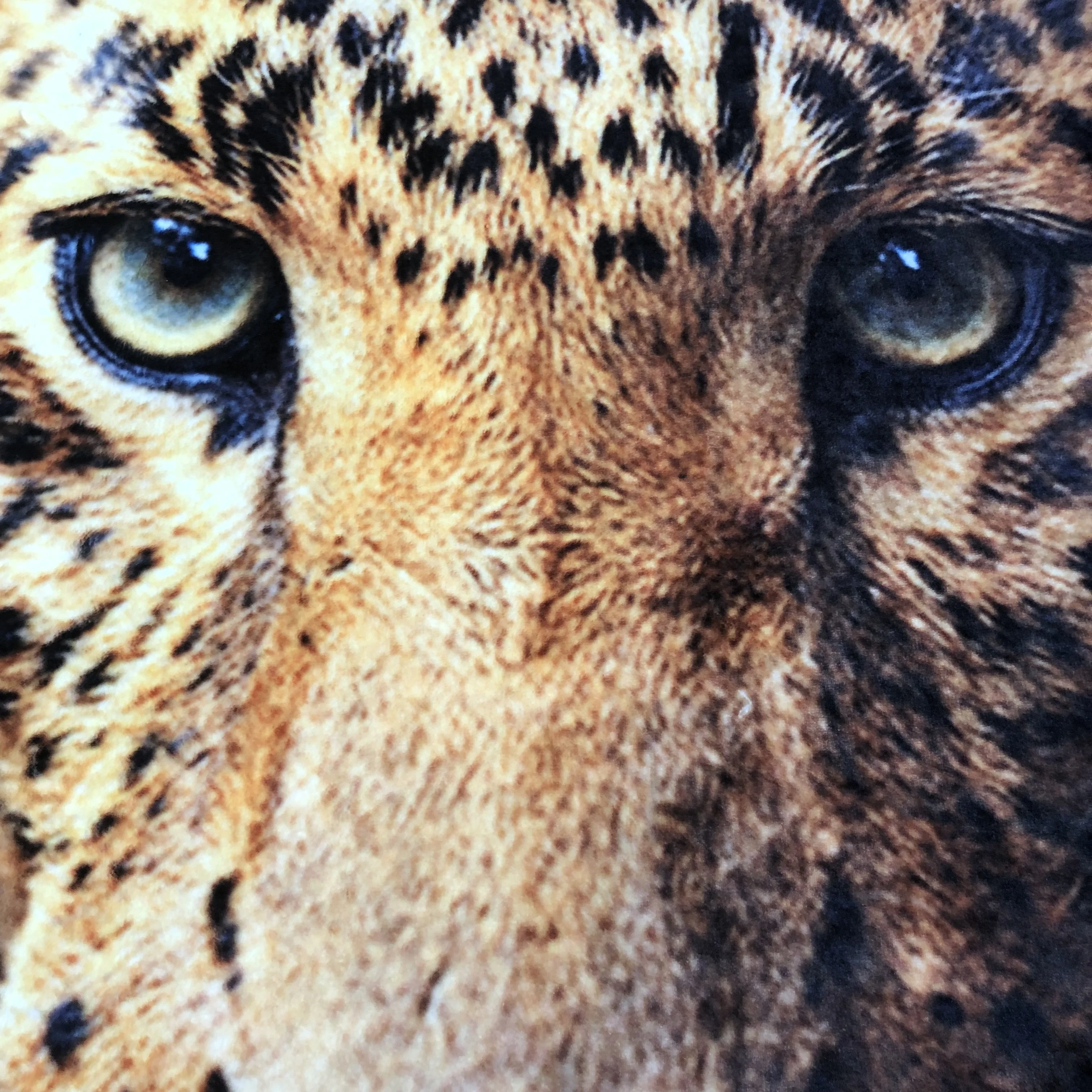 Flannel Fleece Blanket Throw with 3D Digital Animal Silk Touch HD Retina Printing 100% Polyester Square Adults American Style