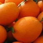 navel orange price