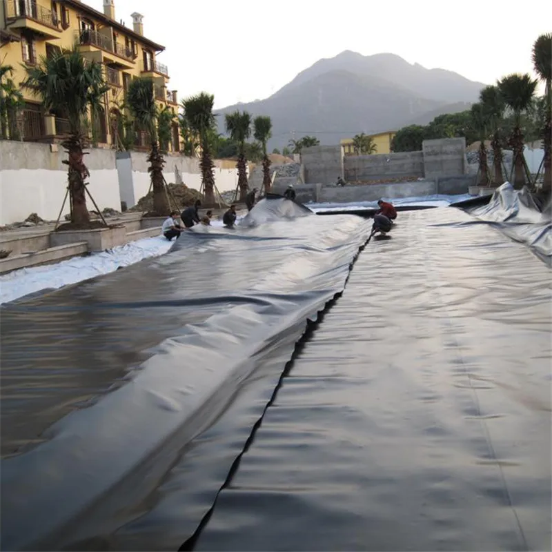 HDPE Rough Geomembrane Price, Swimming pool fish faming Double Textured Geomembrane liners