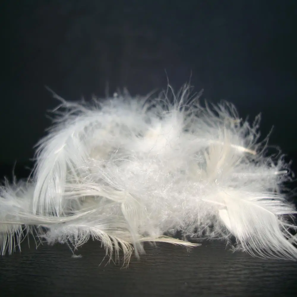 
Washed Pure White Duck Feather And Down 95 Sofa Cushion Pillow Filling Materials 