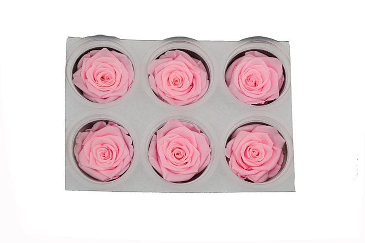 
Factory price best quality Soft Touch Natural Eternal Forever Immortal Preserved Roses 