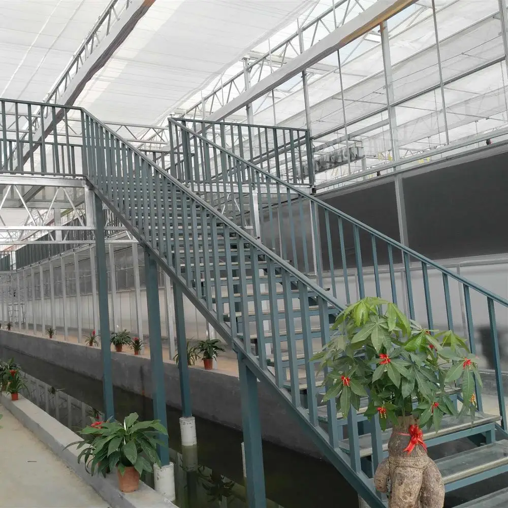 Top Quality Polychannel Glass Greenhouse for Hydroponic Products/Seed Breeding Cultivation