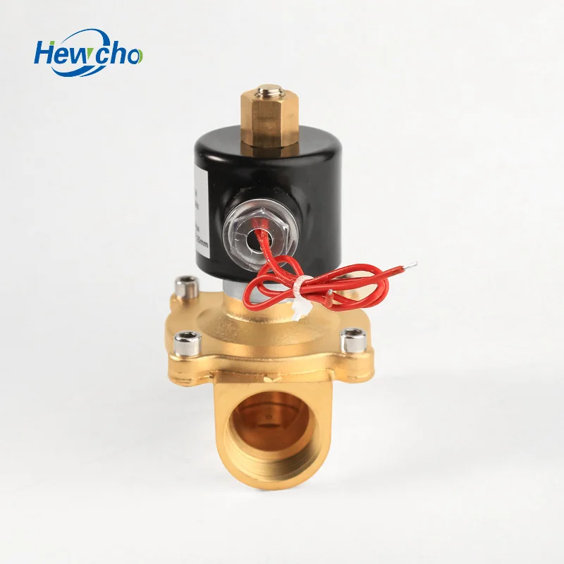 
2W250-25H 220V AC Brass Water1