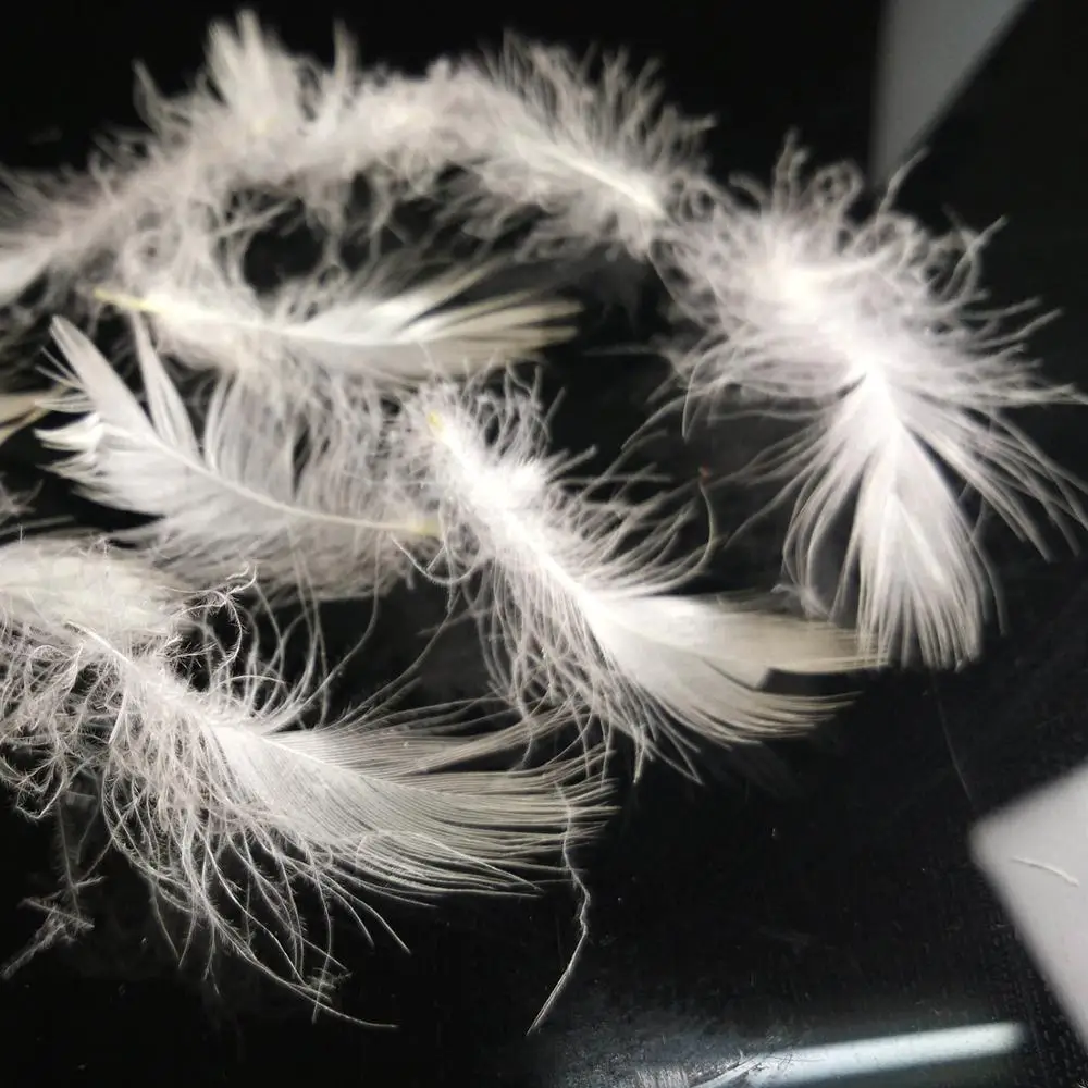 Washed Pure White Duck Feather Sofa Cushion Pillow Filling Materials