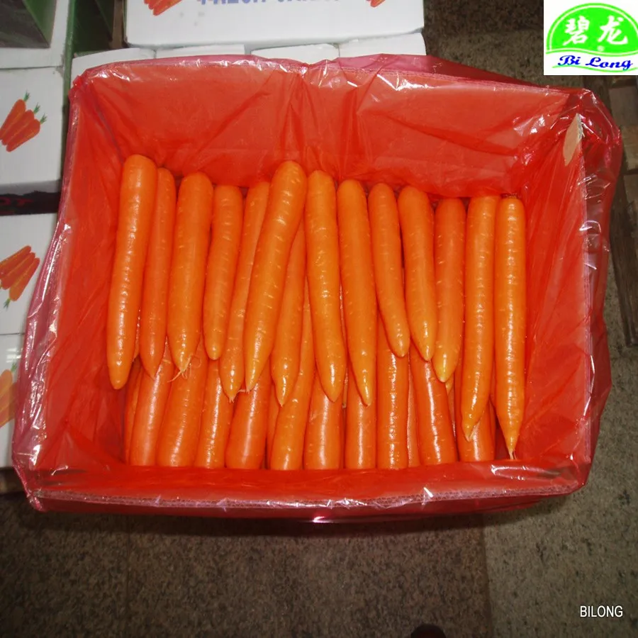 
New crop fresh chinese carrots origin Shandong/Hebei/Mogolia/Xiamen 