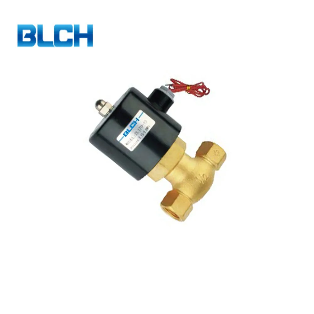 Wholesale high quality 12V 24V 220V hydraulic valve Brass 2/2 way 1.5 inch water solenoid valve