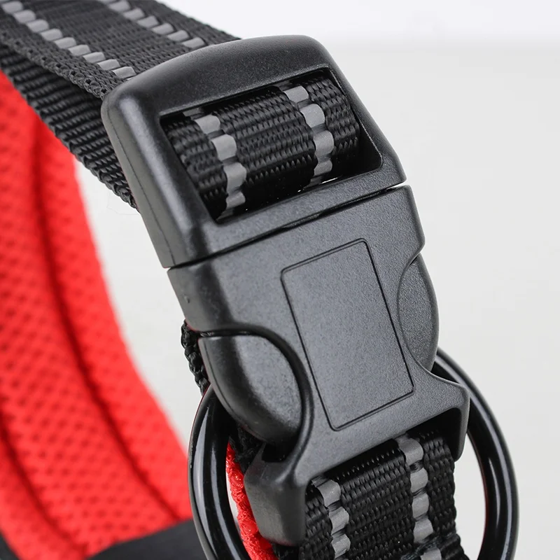 Pet Supplies Dog Collar Leash with Buckle Collar Elastic Adjustable Leash AutomaticallyRetract Pet Leash New Design for Dogs