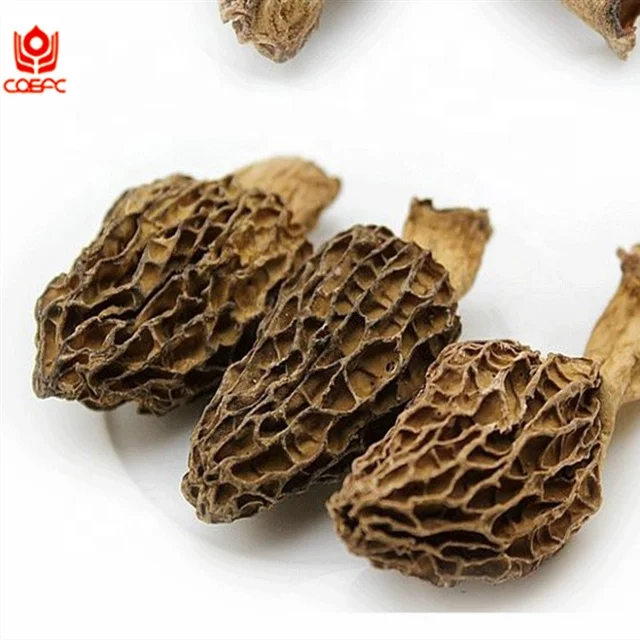
cultivated morel dried morel msuhroom 