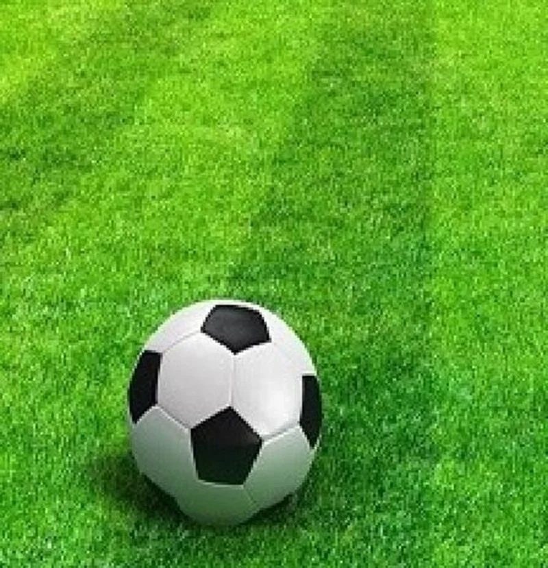 SGS and CE certified PE soccer fields football artificial grass carpet