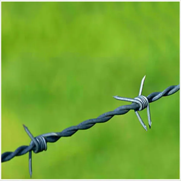 Дешевые цены оптовая оцинкованная колючая проволока с настраиваемыми спецификациями