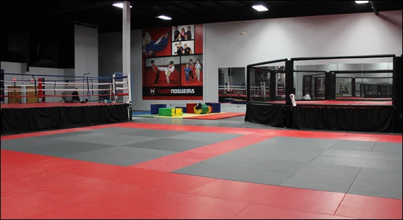 IJF Standard High Density Foam MMA Judo Mats