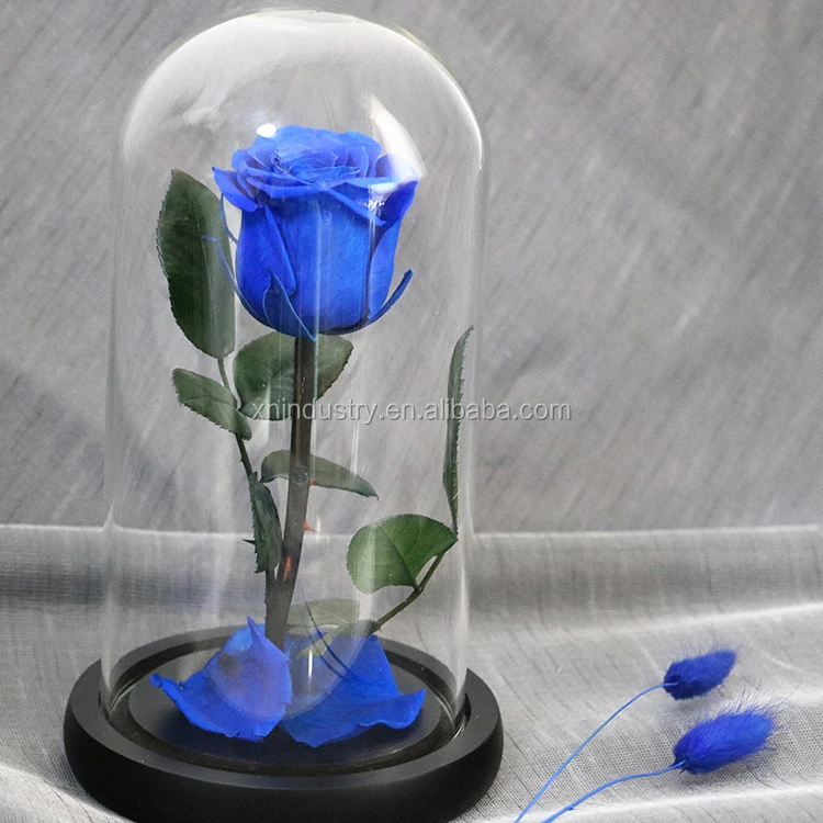 High Quality Valentines Day Gifts Natural Roses Boxes the Little Prince Rose Eternal Preserved Rose in Glass Dome