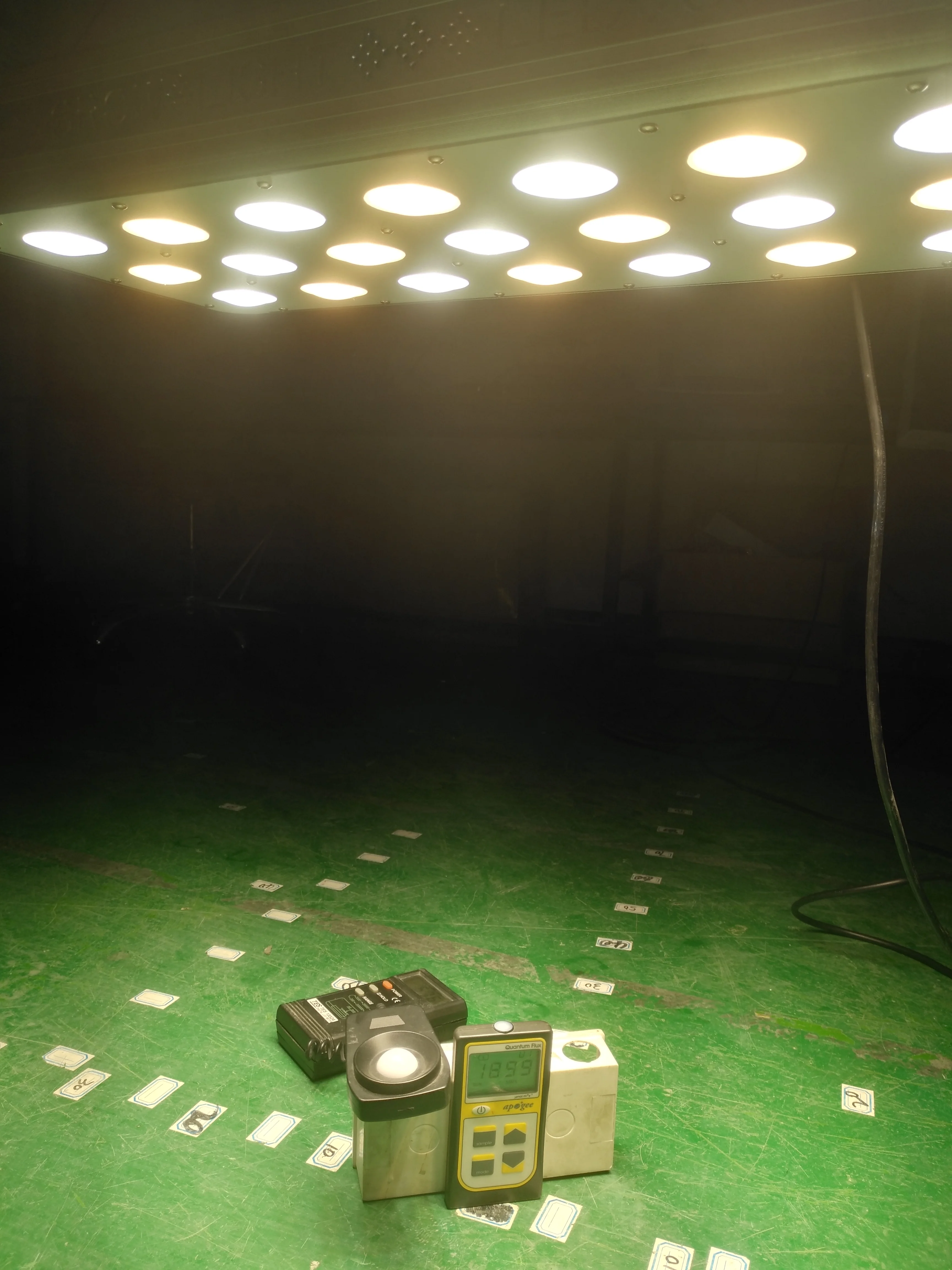 2019 best hydroponic true full spectrum CRI 97 led grow light for indoor and greenhouse lighting 600w Crees cob led grow light