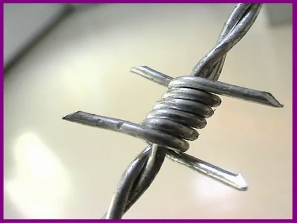 Дешевые цены оптовая оцинкованная колючая проволока с настраиваемыми спецификациями