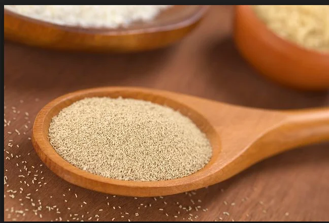 bakery Yeast /Insulin / Vaccine /Antibiotics/  Lysine /glucose/ citric acid Production Line/producing machine