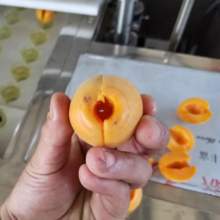 Hot sale apricot pitting machine / coring equipment/pitter