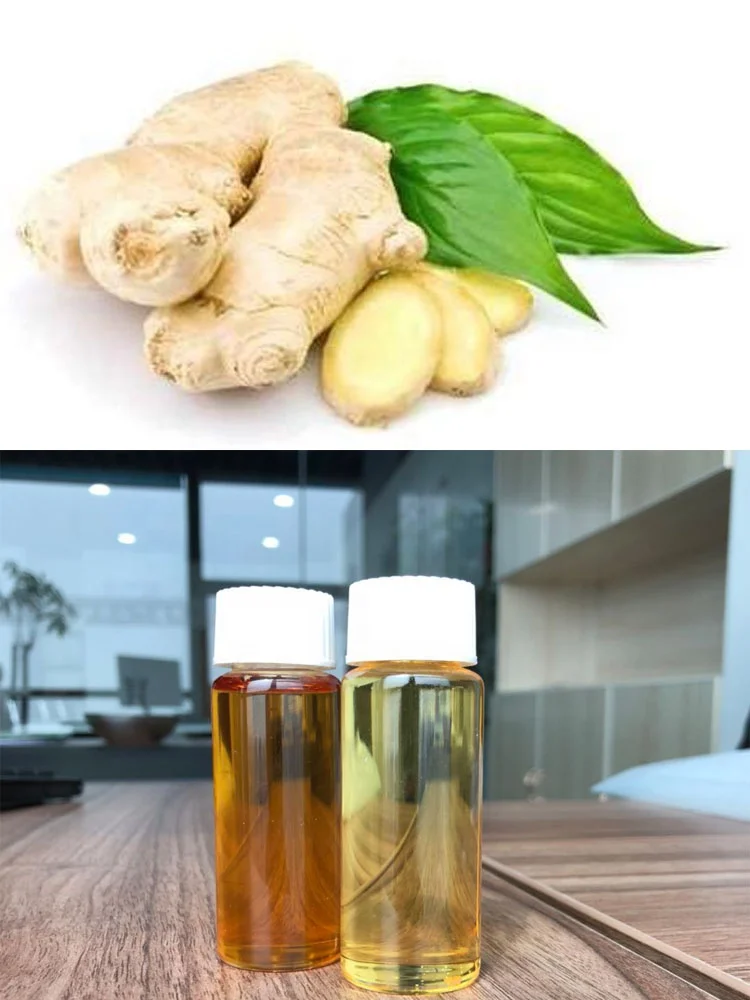 
Exporter Hot Sale With Low Price 100% Pure Ginger Essential Oil 