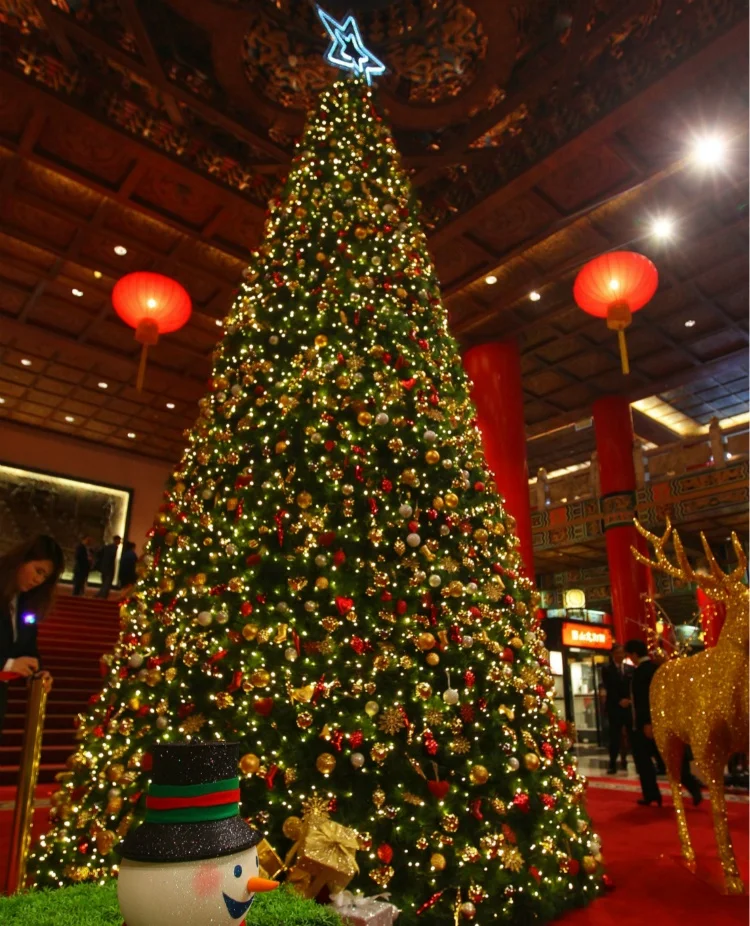 Hot Sale Outdoor LED Christmas Light Star-Shaped PVC Ornaments with AC Power Supply IP65 Rated for Outdoor Use