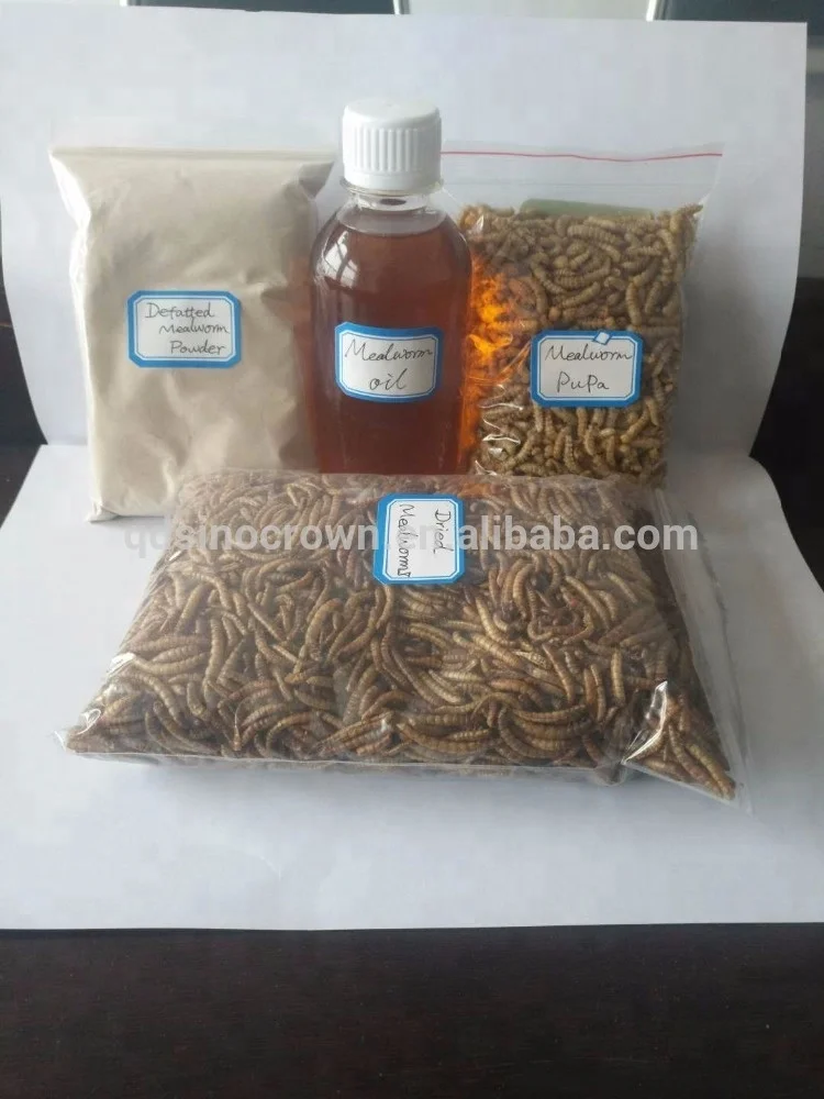 
Bactericidal Mealworm Oil Animal Feed Additives 