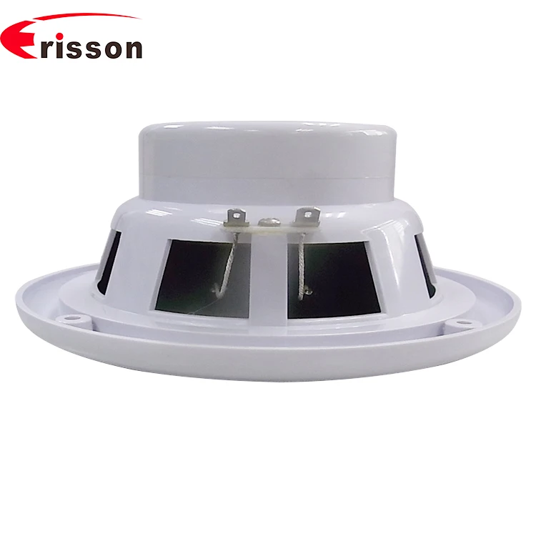 OEM/ODM Professional 6.5 Inch 30W IPX6 Waterproof Marine Speaker Boat Yacht
