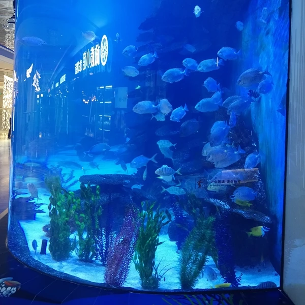 custom acrylic round large fish tank