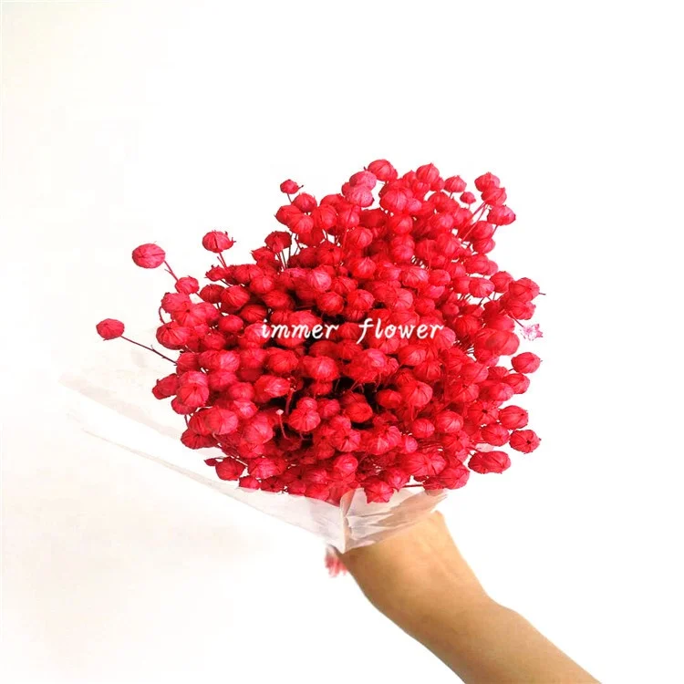 Special Dry Flax for DIY Floral Arrangement Wedding Bouquets