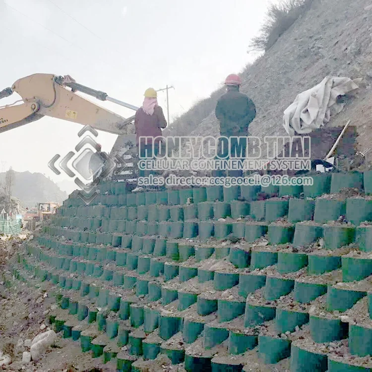 
grass grid paver honeycomb hdpe geocell for load support 