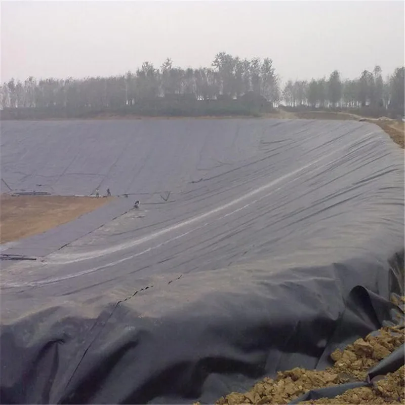 HDPE Rough Geomembrane Price, Swimming pool fish faming Double Textured Geomembrane liners
