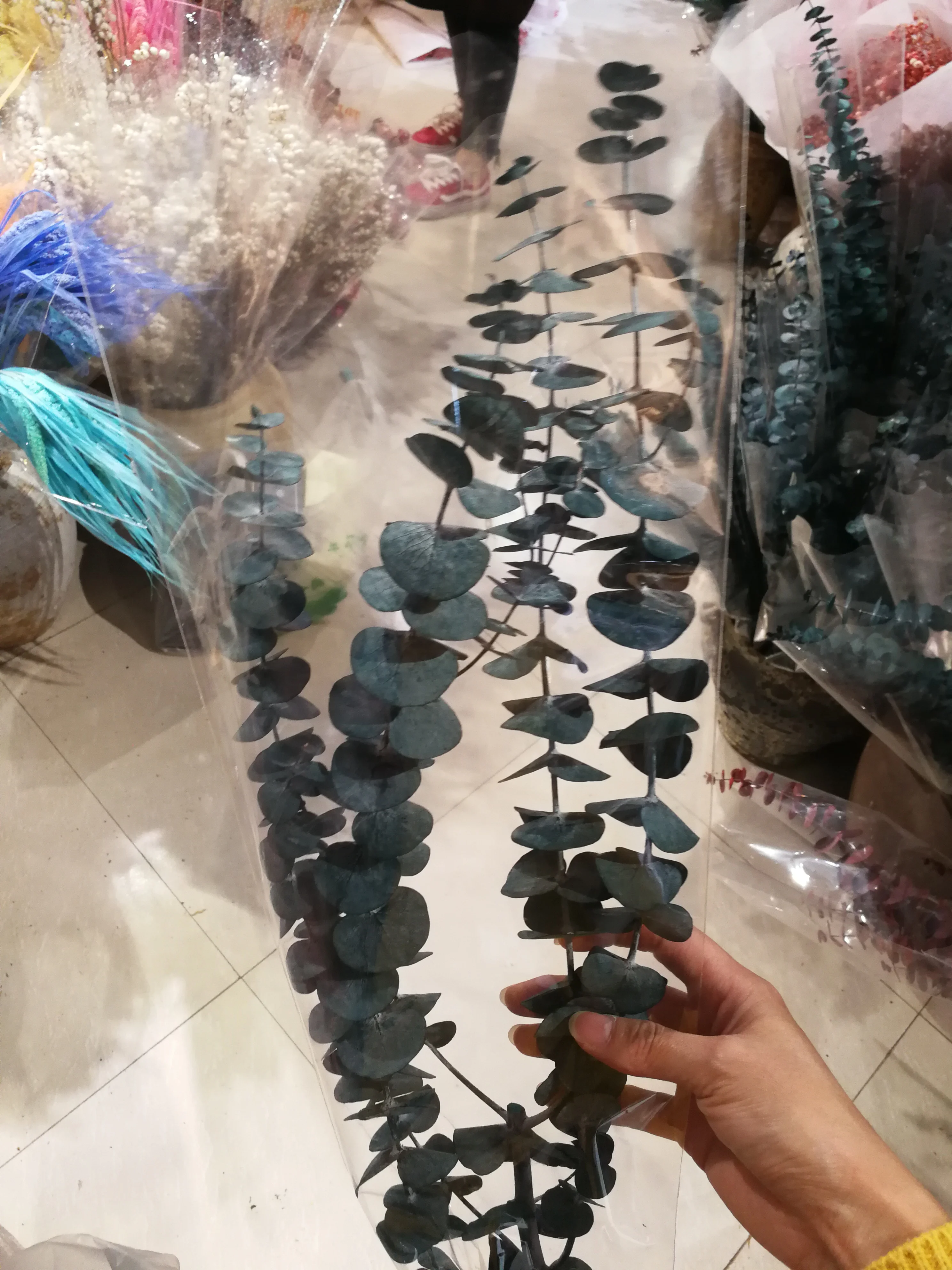 Preserved Flower Eucalyptus Green Leaves Dry Flower For Sale