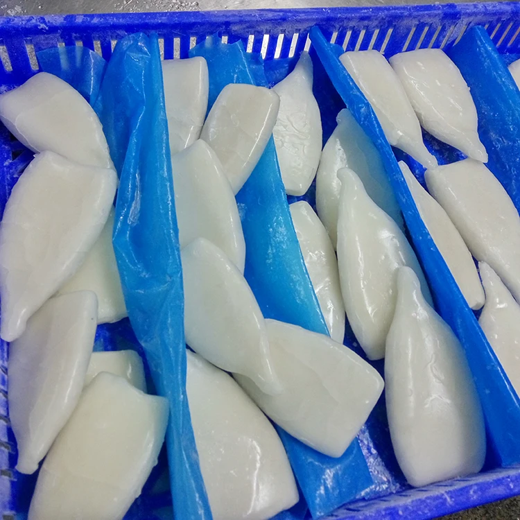 wholesale Fresh frozen squid for sale squid supplier squid tube
