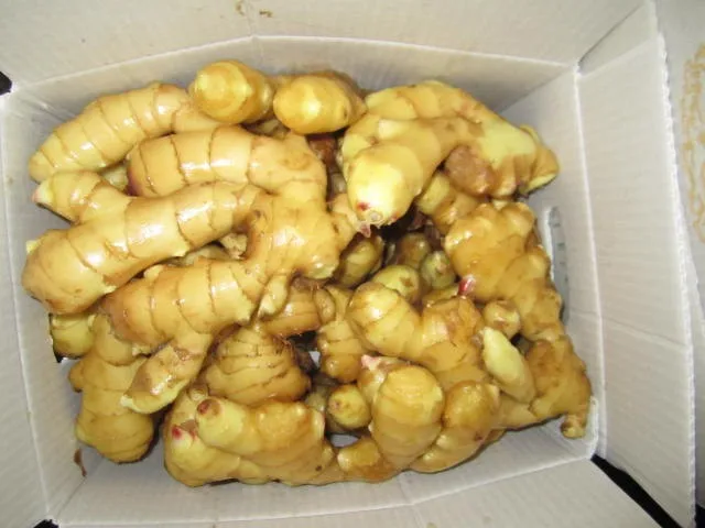 High quality 2021 dried fresh ginger root market price per ton wholesale Ginger fresh price for ginger import