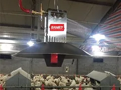 Poultry Gas Heater for Chicken House heating equipment