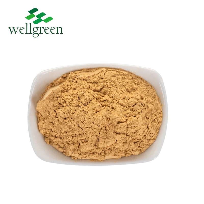 
GMP Manufacturer supply feed grade 1% 3% 5% 10% organic ginger extract powder 
